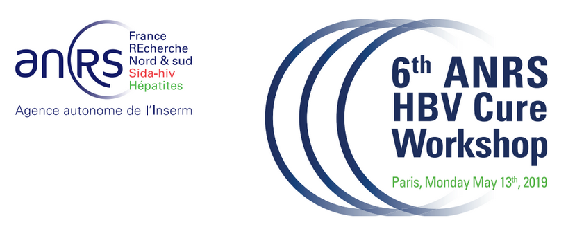 logo ANRS hbv cure workshop